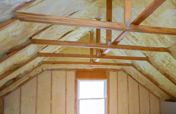 Best Insulation Maintenance and Repair in Bacliff, TX